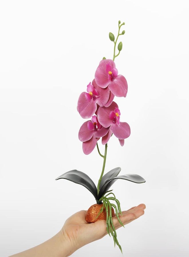 WOLEDOE Fake Orchids Artificial Flowers, Reptile Terrarium Decor Plants, Bearded Dragon Tank Accessories fit Crested Gecko Leopard Lizard Chameleon Ball Python Snake Frog - Purple - Image 3